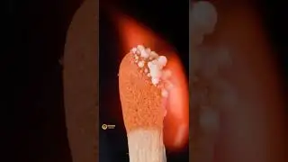 Match vs Tweezers (Macro / Close Up) ASMR Video