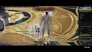 [LOST ARK] My Personal Paladin Support Guide and Playstyle Tips