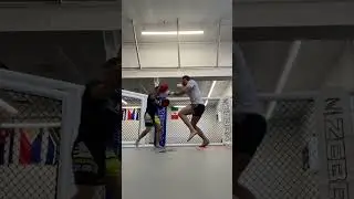 TJ Dillashaw Headkick Setup  