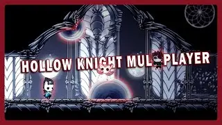 Дворцовый 112% Жучий флекс: Hollow knight Multiplayer