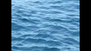How to make water waves in Blender with Dynamic Paint | Easy Tutorial