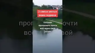 Три самых умных знака зодиака. Неожиданно🧐