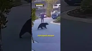 МЕДВЕДЬ ХОТЕЛ НАПАСТЬ НА МАЛЬЧИКА НО😨 