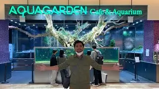 🔴 [LIVE] AQUAGARDEN Cafe - Seoul