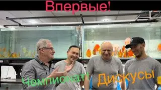 Чемпионату России и группе 
