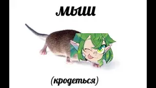 ВМУТЯ - ДЕТСКИЙ САД ШТАНЫ НА ЛЯМКАХ