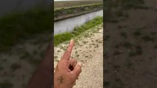 #Fishing In Hurricane/ Tropical Storm Debby! #mechanic #automobile #honda #florida
