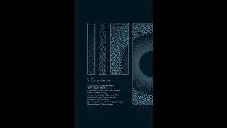 Life Tree - Experience