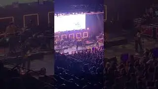 The National - I Should Live in Salt