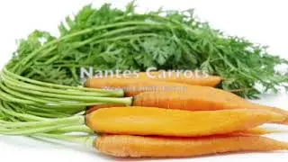 Farmers' Market Box January 16th 2020