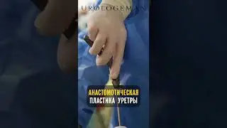 Руки хирурга Пластика уретры 13