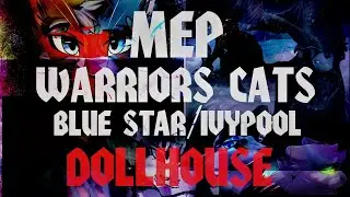 「MEP WARRIORS CATS COMPLETED/BLUE STAR/IVYPOOL」- DOLLHOUSE