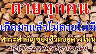 ตายทุกคน เกิดมาแล้วไม่ตายไม่มี สาระสำคัญของชีวิตอยู่ตรงไหน_เล่าประมวลสรุปอุรคชาดก