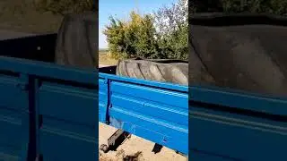 Везу колёса для септика от Т-150 и Кировца.