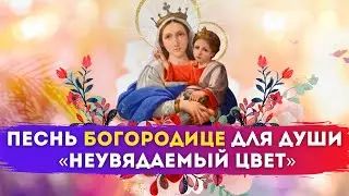 🌺 ПЕСНЬ БОГОРОДИЦЕ для Души «Неувядаемый Цвет»