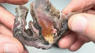 Slabbing a Kokernot 06 Ranch Agate