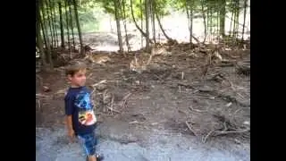 Parc safari au québec 7 août 2012 part 16