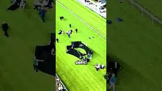 Schwarze Vorhänge Bedeuten Nur Eins…😭🐴