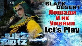 Black Desert: Про Лошадей и их Умения [Let's Play]
