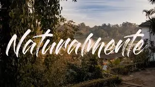 Naturalmente...