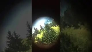 Автор стихотворения Алексей Натяга -Верность