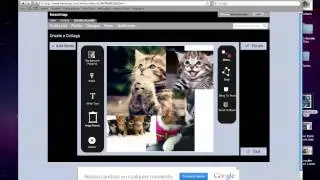 Beezmap – Bring to Front, Send to Back – Video Tutorial