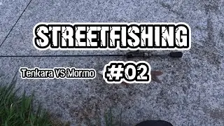 Streetfishing #02 Tenkara VS Spinning