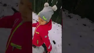 ИДЕММ