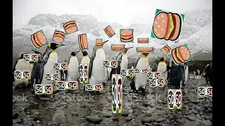 Funny Pingu