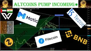 Bitcoin update Alts going to pop up hard. LINK , XTZ, ZEC, BNB, MATIC, FIL