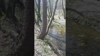 güney yaka 3