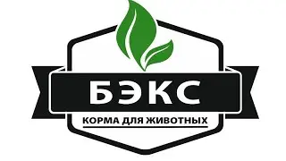 Для региональных представителей (ПАРТНЁРОВ) "БЭКС".
