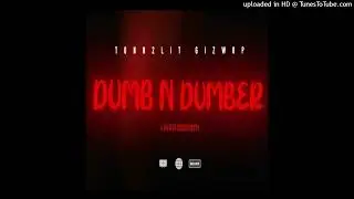 Gizwop x Tonn2lit - Dumb N Dumber (INSTRUMENTAL REMAKE) [prod.TrEo0]