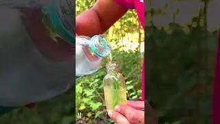 ✅ This Girl’s Genius Survival Trick! 🌿🦟 