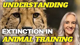 Understanding Extinction in Animal Training and Exploring the Alternatives