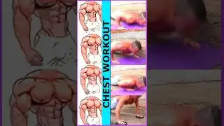 Chest Transformation 