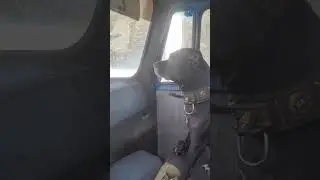покатушки 