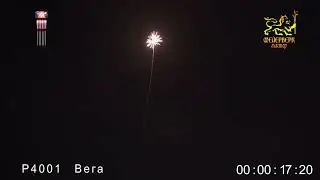 Р4001Вега