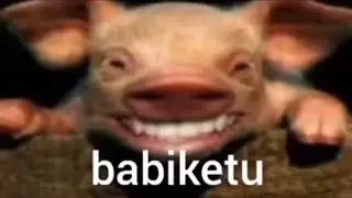 mengrusuh banget ngab