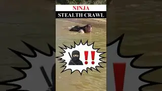 NINJA FIGHTING TECHNIQUES 🥷🏻 How To FIGHT using STEALTH CRAWLING in the WATER: Ninjutsu 