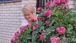 462...Переживала, волновалась- хватит  нам уже болячек. А тут счастливые хлопоты.