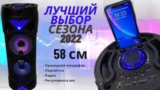 💥Портативная колонка. 58см + микрофон + радио + подсветка + регулировка эхо. Звук ПУШКА.💣