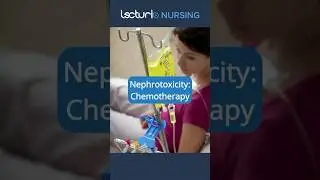 Chemotherapy and Kidney Health: A Nursing Perspective 🎗️💊 