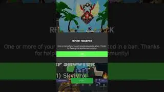 you see a hacker in roblox bedwars? 
