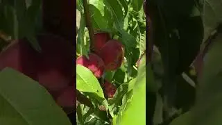 А що тут змінилось за тиждень???