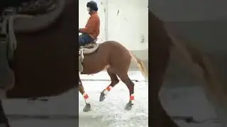 ноокат аттары