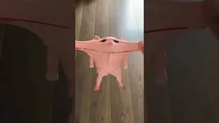 Why’s it so damn fun to crush thia pig? 🥵🐷
