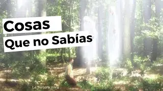 Cosas Que no Sabías de La Primera Visión De José Smith | Todas las versiones