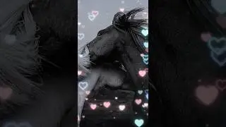 ❤️❤️❤️❤️❤️🥰🥰🥰🥰🥰🎵🎵🎵🎶🎶🎶🎶🎶🎶🎶🎵🎵🥰🥰❤️❤️❤️❤️