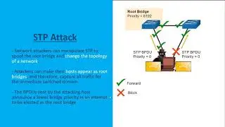ARP Attacks, STP Attacks, and CDP Reconnaissance
